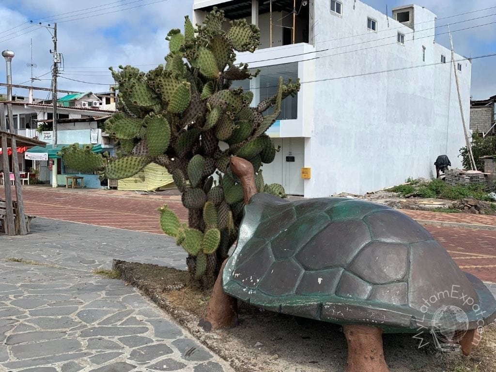 Puerto Baquerizo Moreno - San Cristobal - Galapagos - Ecuador